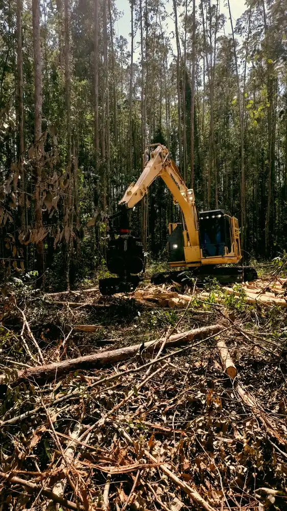 An excavator clearing trees and brush