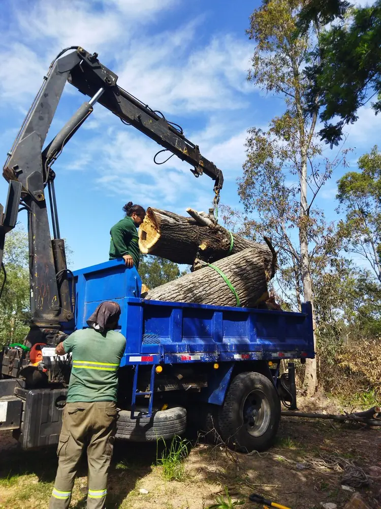 A truck-mounted crane loading logs